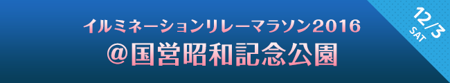 イルミネーションリレーマラソン2016